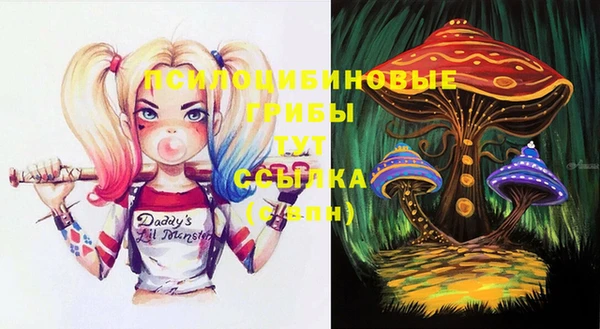 крисы Балахна
