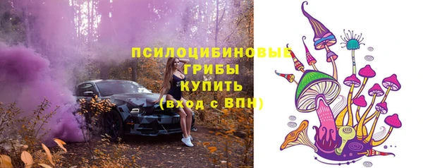 крисы Балахна