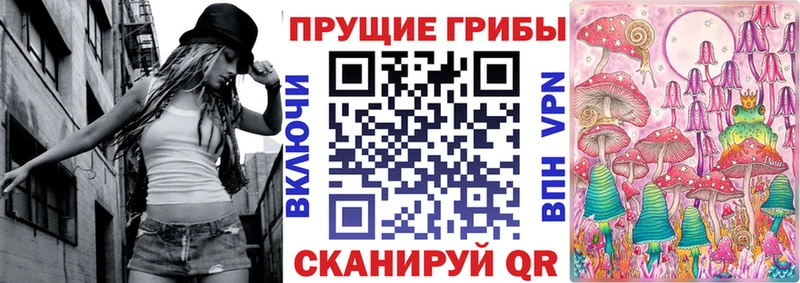 Галлюциногенные грибы мицелий  купить наркотики цена  Гудермес 