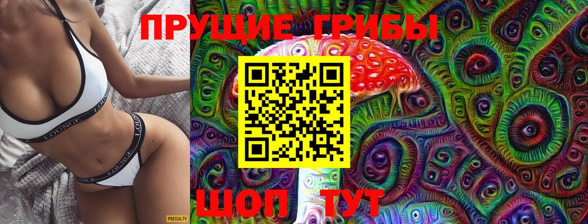 продажа наркотиков  Псилоцибиновые грибы мухоморы  Вход с VPN  Гудермес 
