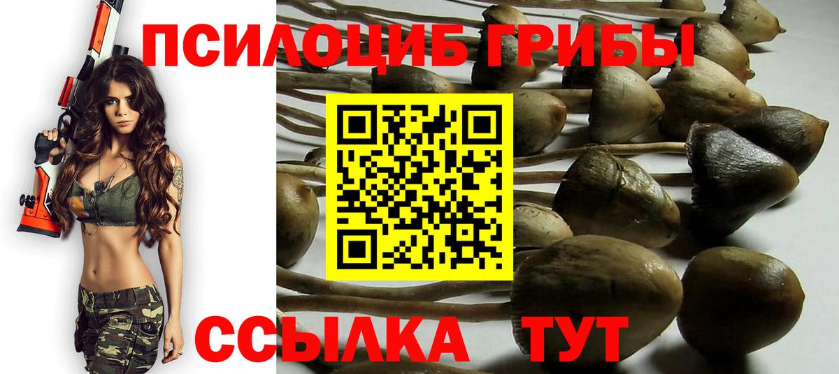 Галлюциногенные грибы MAGIC MUSHROOMS Гудермес
