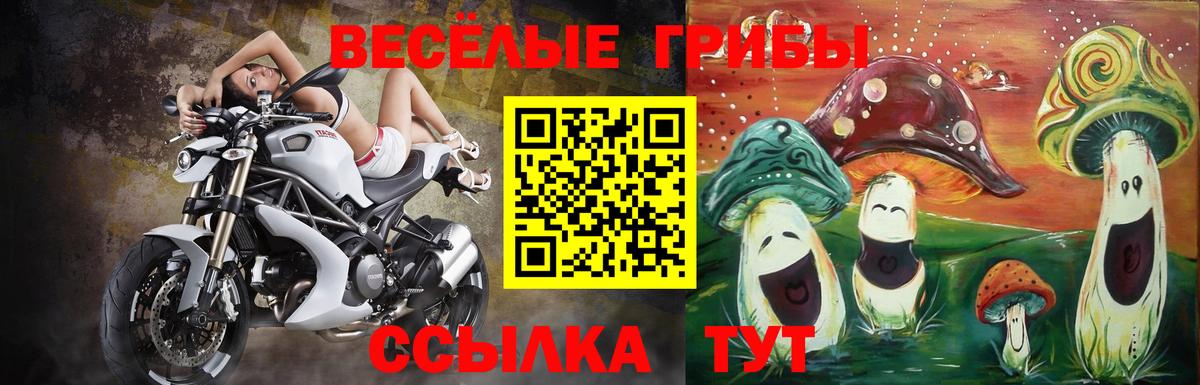 Псилоцибиновые грибы мицелий Гудермес