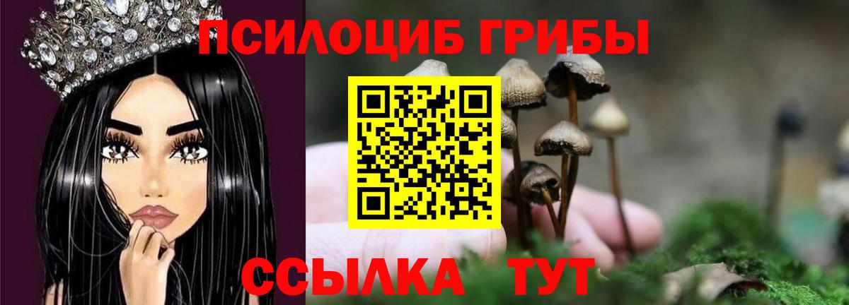 Галлюциногенные грибы Cubensis  Гудермес 