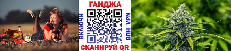 Шишки марихуана планчик Гудермес